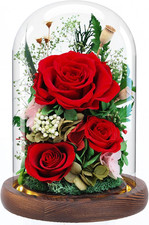 Preserved Red Rose Forever Flowers for Delivery - Birthday Gifts for Women
