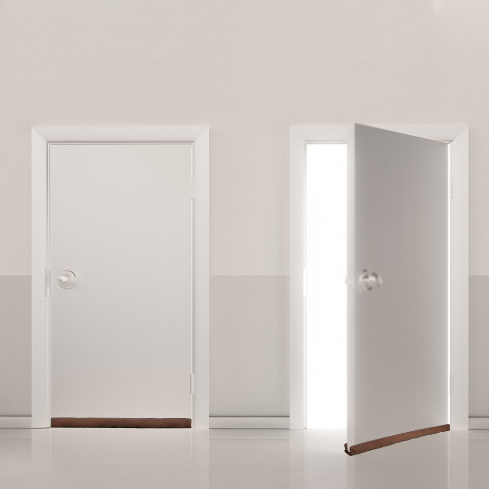 Twin Door Draft Dodger Guard Stopper Protector Under Door Draught