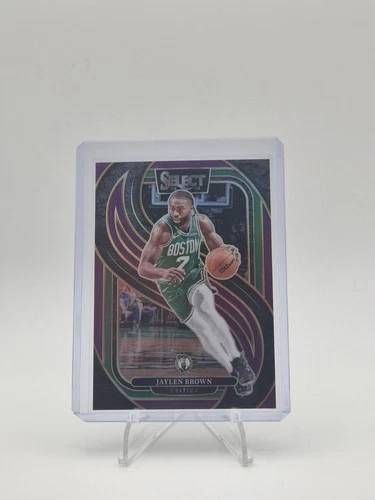 2024-25 Panini Select - Premier Level Jaylen Brown #146 Purple Prizm 90/99