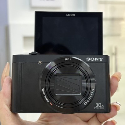SONY Cyber-Shot DSC-WX500 18.2MP Digital Camera Black English Language Tested
