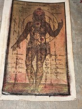 Antico Manoscritto Illustrato ,Alchimia ,curiosità Medicina E Anatomia Disegno