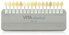 Porcelain Vitapan Shade Guide classic Original 16 Colors