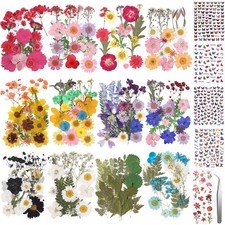 650pcs Dried Pressed Flowers for Resin Craft Dried Pressed Flowers with Butte...