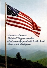 Vintage Postcard United States Of America Flag