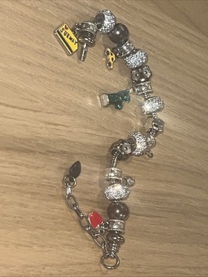 pandora bracelet with charms