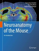 Neuroanatomy Of The Mouse Natasha Moser