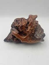 Natural Burl Wood Sculpture Driftwood Root Rustic Organic Decor