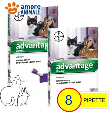 2 Pakete - Bayer Advantage 80 MG für Katzen Und Kaninchen Über 4 KG - 4 Pipetten