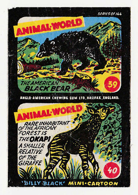 Anglo Wax Wrapper Animal World #39/40 - American Black Bear & Okapi Billy Black