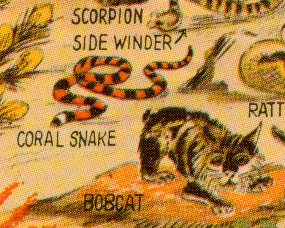 ¡Póster de vida silvestre del desierto de 1930! (hasta 24" x 36") - Postal vintage - Suroeste Foto 3 de 4