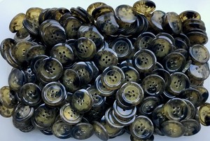 green tortoise shell