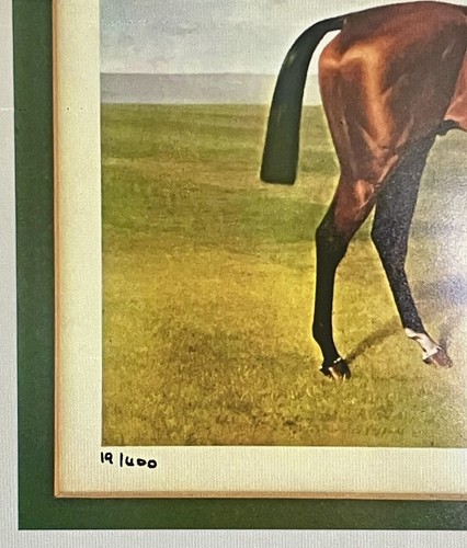 EMIL ADAM NUMBERED LTD. ED. "ORMONDE" THOROUGHBRED EQUESTRIAN HORSE JOCKEY PRINT - Picture 18 of 19
