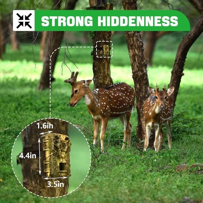 Caméra de Chasse WIFI Bluetooth 32MP 1080P 850nm LED Mini Size IP66 + carte 32GO - Photo 4/4