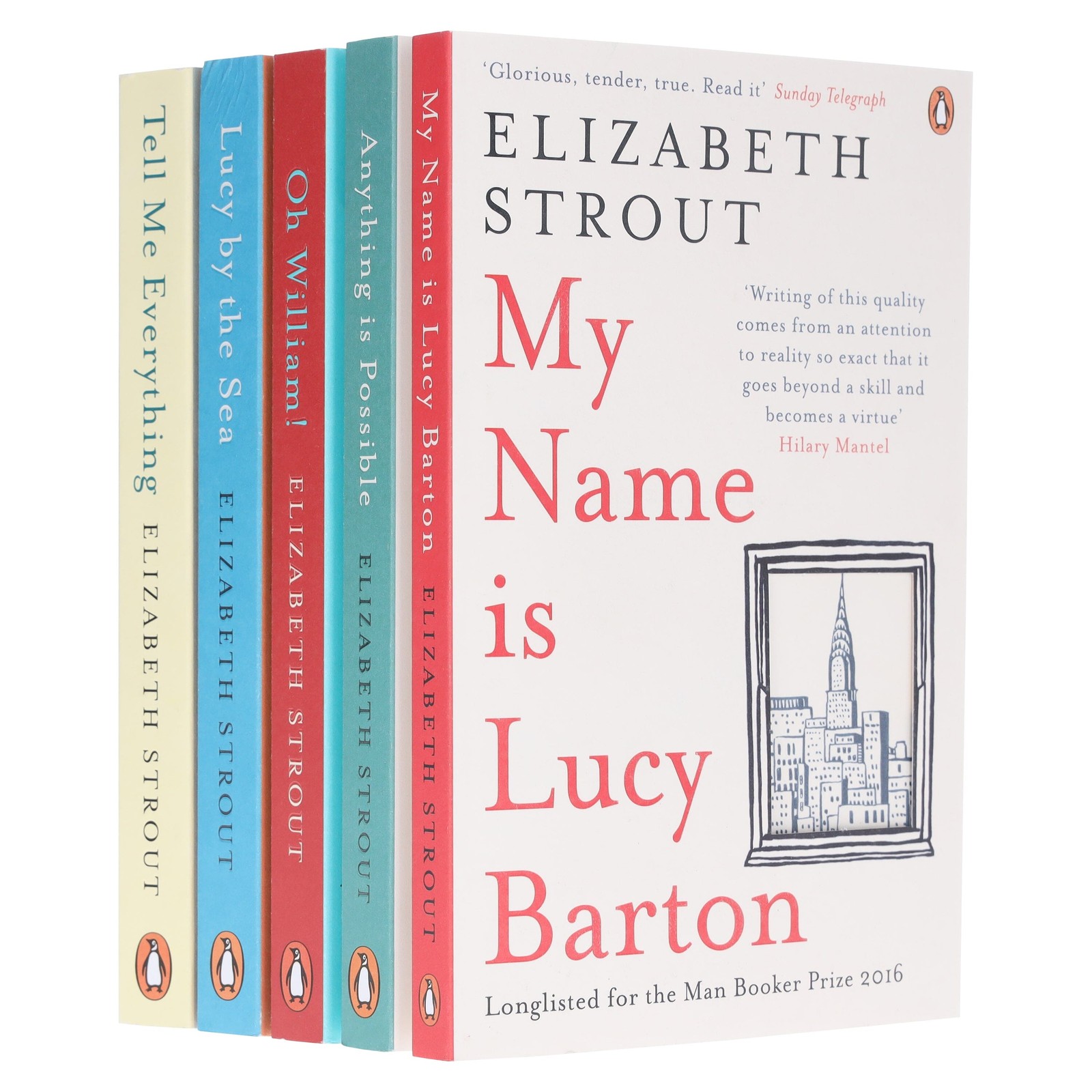 Amgash Series by Elizabeth Strout 5 Books Collection Set - Fiction - Paperback