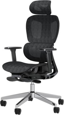 Patiomage Ergonomic Office Chair, Big and Tall Desk Chair with Adjustable Lumbar