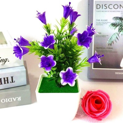 Schöne Lilie Blume Tannenzapfen Pflanze für Hof und Esszimmer für dekor