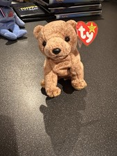 Ty Beanie Babies Pecan The Bear New With Tags error 1999 Baby 