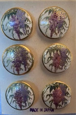 Satsuma Set Of 6 Handpainted Wisteria Buttons W/24k Gold Accent Marked Japan 1”