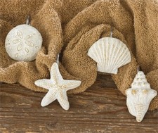 Park Designs Seashells Shower Curtain Hooks  Set of 12  FREE SHIPPING 