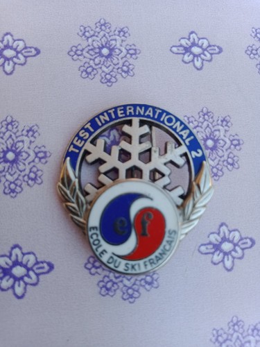 INSIGNE BROCHE RECOMPENSE  ESF ECOLE de SKI FRANCAIS  Niveau FLOCON 1 ETOILE - BADGE EPINGLETTE no pin's Boutonnière Médaille N°1 - Collection