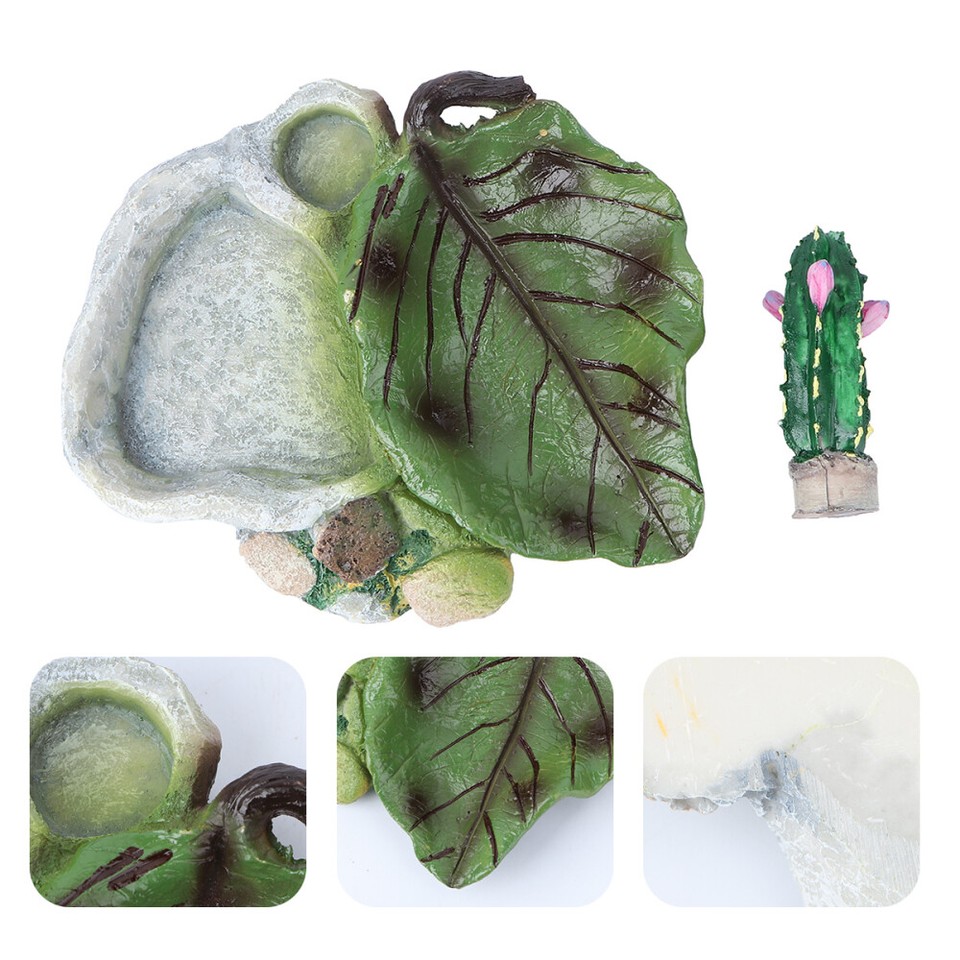 Bearded Dragon Water Dish Reptile Terrariums Lizard Food Bowl eBay