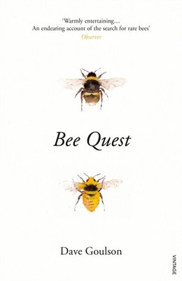 Bee Quest by Dave Goulson (Paperback Book)