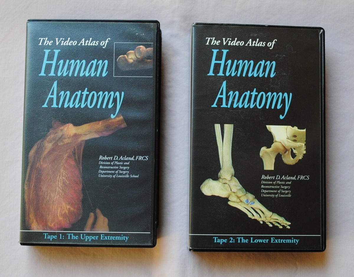 人体解剖学　DVD　 Acland's of Human Anatomy Acland's DVD Atlas of Human Anatomy: The Trunk: Acland