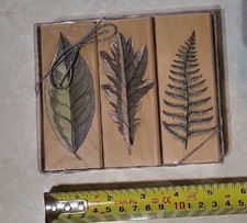 Hero Arts Leaf Rubber Stamp - Set of 3 - Oak Fern Elm - Year 2000 - SEALED