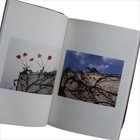 Bild 15 von 17