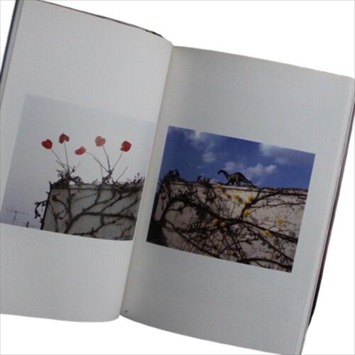 The Works of Nobuyoshi Araki 17 Fotobuch Sinnliche Blumen 1. Auflage Obi - Bild 15 von 17