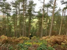 Photo 6x4 North side of Bedstone Hill Mynd/SO3574 Very steep ground. c2021