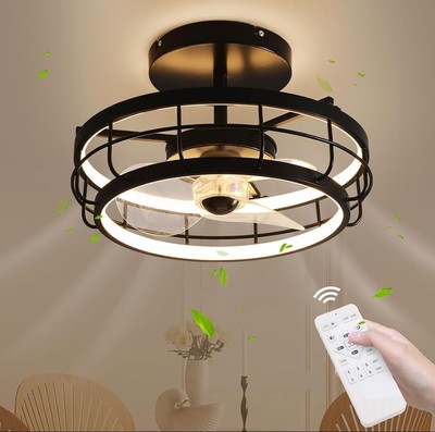 SKY ANGLE Ceiling Fans with Lights Remote and APP Control