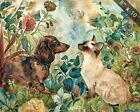 Dachshund and Birman cat exploring a whimsical garden wa 8x10 Print jpg