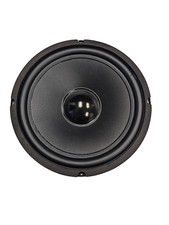 Goldwood Sound GW-1038 10" 8 Ohm Woofer Speaker Driver 30 oz Magnet NEW
