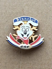 Joli Insigne, broche médaille ski ESF " Blanchot ", version actuelle