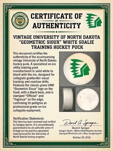 Rare Vintage University of North Dakota "Geometric Sioux" White Goalie Training - product listing photo