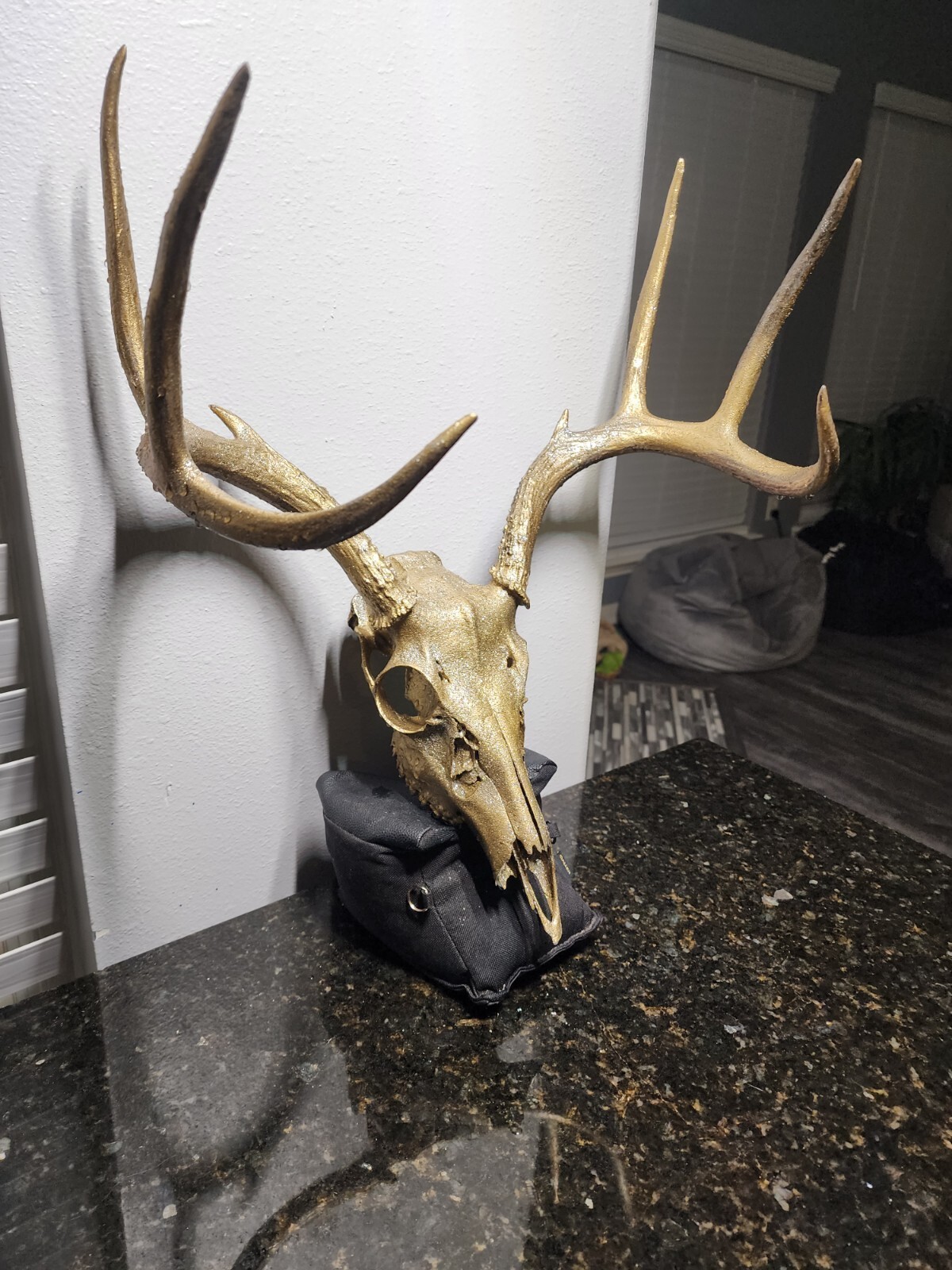 whitetail deer antlers for sale eBay
