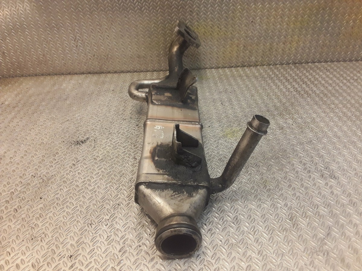 ユーザー投稿写真