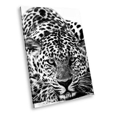 A089 Black White Animal Portrait Canvas Picture Print Large Wall Art