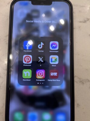 iPhone 13 Pro Max Rose Gold Unlocked 128gb W TikTok Installed 