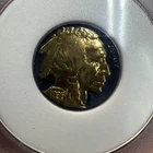 1936  Buffalo Nickel Indian Head 24k Gold Highlights Black Ruthenium WCG