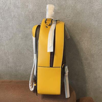 NEW COACH Bag Pack Rucksack CB871 | eBay