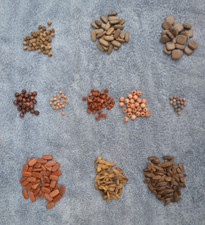 Wooden Beads Lot of Approximately 425 11 Different Shapes  Sizes.