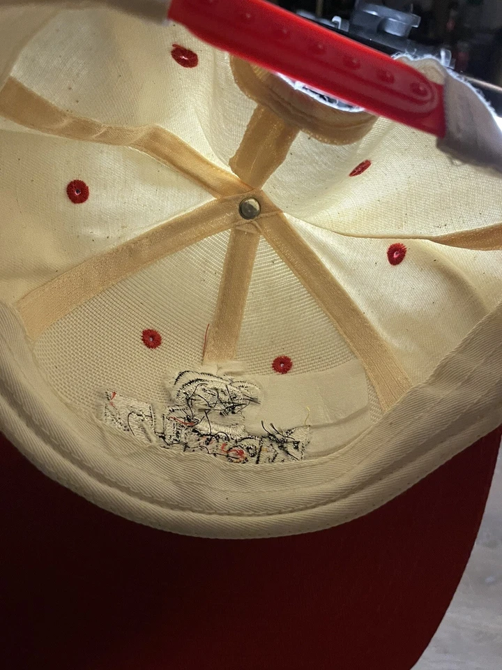 Sombrero de colección Dragon Ball Z muestra Gohan Y2K muy raro Foto 4 de 4