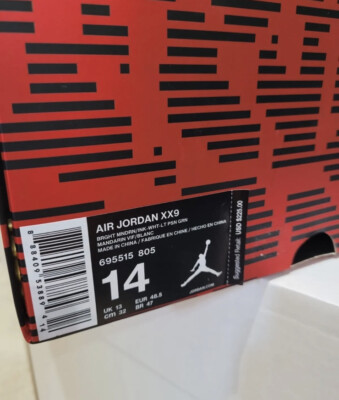 Air Jordan 29 XX9 Hare 695515-805 Multi/Color Sz 14 No Lid | eBay