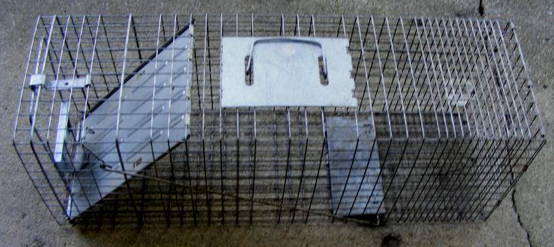 Large HavaHart Humane animal trap, 32"x12"x10"