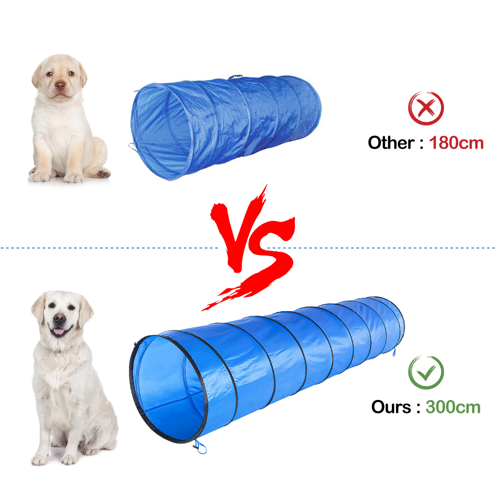 Dog Agility Equipment Tool Set Pet Obstacle Training Course Tunnel Pole 300CM eBay