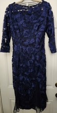 Alex Evenings Women’s Size 8 Tea Length Embroidered Dress With Illusion Sleeves