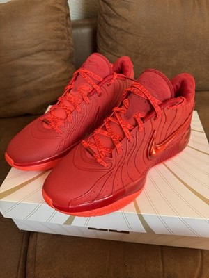 Nike LeBron XXI 21  James Gang  Größe 47.5 US13, NBA Basketball Schuhe
