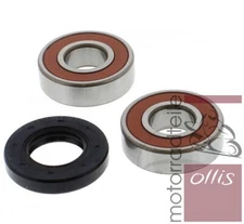 Premium Front Wheel Bearing and Dust Seal Kit - Suzuki DL 650 04-14 - Japan Made